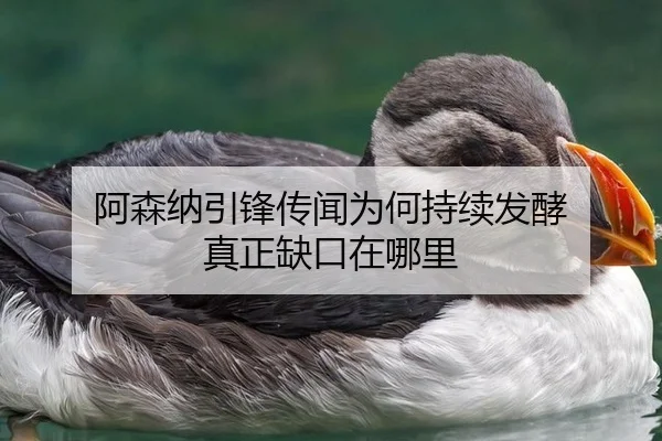 阿森纳引锋传闻为何持续发酵 真正缺口在哪里
